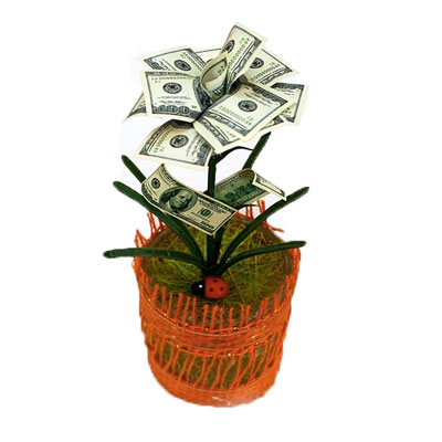 Денежный цветок "Расцвет бизнеса" доллары бумага Производитель: Россия Артикул: 89968 инфо 13761c.