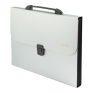 Папка-портфель "Proff" с 13 отделениями, цвет: серебристый металлик 3 см) Цвет: серебристый металлик инфо 5664e.