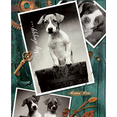 Пакет подарочный "My Doggy ", 26 см x 33 см x 13 см бумага Изготовитель: Китай Артикул: 16087 инфо 613i.